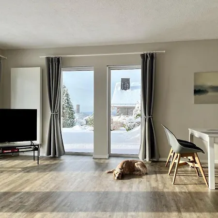 公寓 Ferienwohnung-mit-grosser-terrasse-und-garten-fuer-geniesser Hartenfels